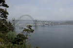 View enjoyed by the muscle tree from Yaquina Bay State Park. April 30, 2025