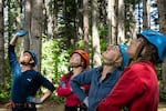 Tree climbing school participants (from left) Chad Marks-Fife, Megan Schaap, Alaina Makowski and Emily Boes scan a pine tree for abnormalities in Cottage Grove, Ore., on June 14, 2023.