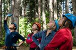 Tree climbing school participants (from left) Chad Marks-Fife, Megan Schaap, Alaina Makowski and Emily Boes scan a pine tree for abnormalities in Cottage Grove, Ore., on June 14, 2023.