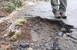 Mount Rainier's Alta Vista trail is filled with potholes.