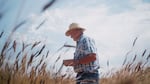 Farmer and Camas Country Mill owner Tom Hunton inspects his field of einkorn wheat — an heirloom grain that harks back to the Fertile Crescent.