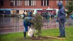 A rainy (and muddy) Friends of Trees planting at Cesar Chavez School in North Portland.