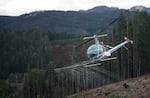 A helicopter sprays water over a recently logged slope owned by Starker Forests, near Philomath, Ore., during a demonstration in 2015.