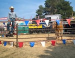 The Legendary Longhorn Show demonstrates the massive size of the Texas longhorn cattle at the Oregon State Fair in Salem, Ore. Aug. 29, 2022.