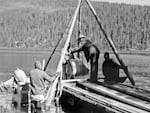 In the 1950s, the Oregon Game Commission dumped barrels of the pesticide toxaphene into Miller Lake to kill the lamprey — along with everything else. They then restocked the lake with game fish.