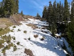 A view of the terrain under the Mt. Hood Express chairlift at Mt. Hood Meadows on March 28, 2026. Ski runs like this one are already unavailable due to a lack of snow.