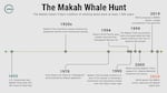 The Makah Indian Tribe's tradition of whale hunting