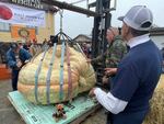 Travis Gienger, right, from Anoka, Minn., watches as his winning pumpkin is lifted and weighed on Monday.