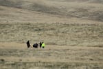 Hunters work quickly to cool and pack out the meat after an elk kill on the Hanford Reach National Monument.