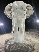 Nick Graham and Chris Foltz finished in third place in a doubles ice carving event at the 2022 Ice Art World Championships for their 10-foot-tall elephant sculpture.