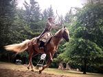 Katie Stearns wants to inspire younger mounted archers to be empowered, telling them that it is OK to be both a "pretty princess and a warrior goddess." She dresses in an embordered tunic, and rides her palomino stallion, Drobo. during an official competition of the World Federation of Equestrian Archery.
