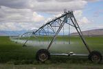 An irrigation pivot in Harney County, May 27, 2019. Farms here raise alfalfa 
