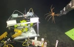 ROV Jason smoothly pulls a spider crab from its hiding place on top of the seismometer.