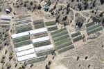 A cannabis grow is seen on Sept. 2, 2021, in an aerial photo taken by the Deschutes County Sheriff's Office  in the community of Alfalfa, Ore.