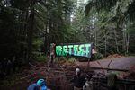 Environmental organizers said they defied a U.S. Forest Service closure in order to block potential logging.