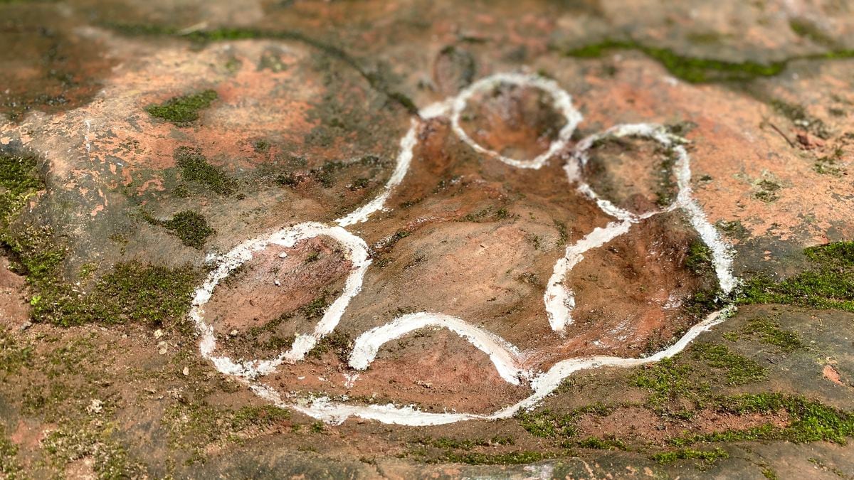 A diner discovered 100 million-year-old dinosaur footprints in a restaurant in China